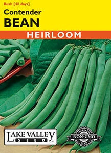 Lake Valley Bean (Bush) Contender Seed