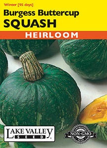 Lake Valley Squash (Winter) Burgess Buttercup Seed