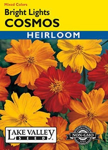 Lake Valley Cosmos Bright Lights Mixed Colors Seed
