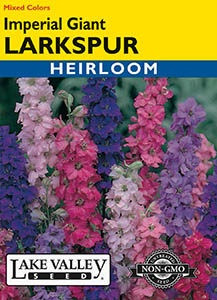 Lake Valley Larkspur Imperial Giant Mixed Colors Seed