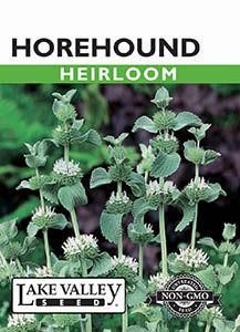 Lake Valley Horehound Seed