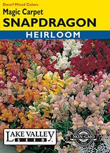 Lake Valley Snapdragon Magic Carpet Dwarf Seed