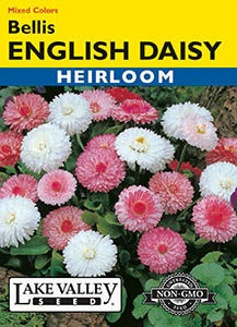 Lake Valley Daisy English Bells Mixed Colors Seed