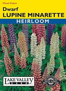 Lake Valley Lupine Minarette Dwarf Mixed Colors Seed