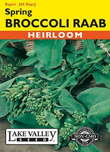 Lake Valley Broccoli Raab Spring (Rapini) Seed