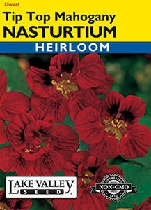Lake Valley Nasturtium Tip Top Mahogany Seed