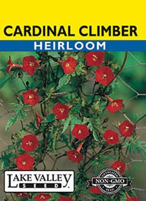 Lake Valley Cardinal Climber Seed