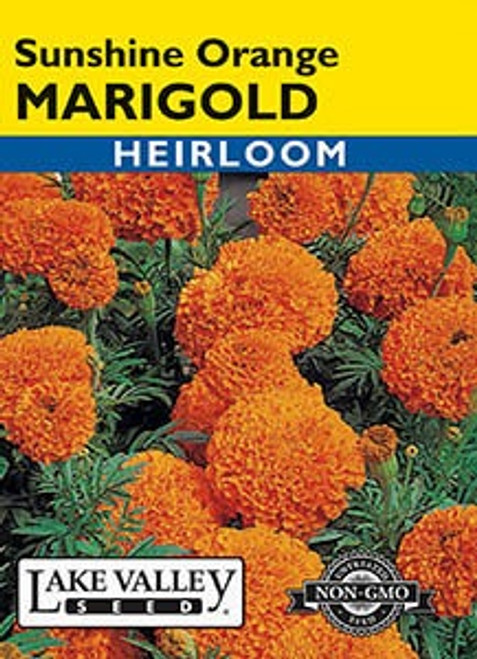 Lake Valley Marigold Sunshine Orange Seed