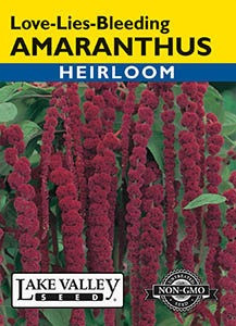 Lake Valley Amaranthus Love Lies Bleeding Seed