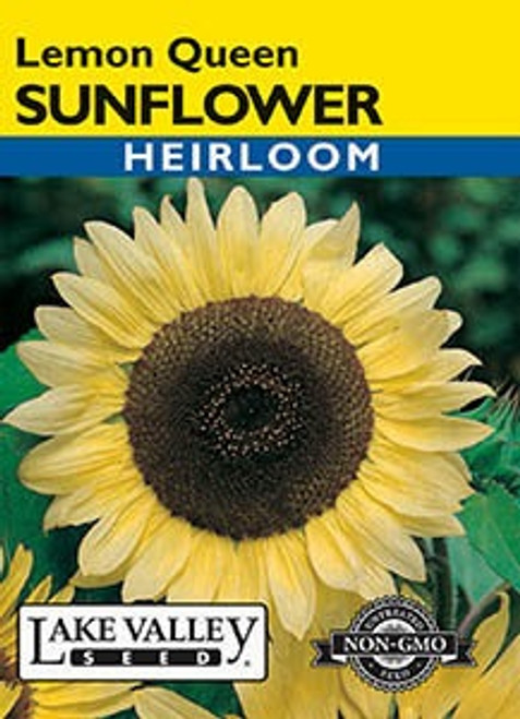 Lake Valley Sunflower Lemon Queen Seed