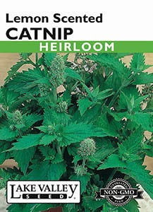 Lake Valley Catnip Lemon Scented Seed