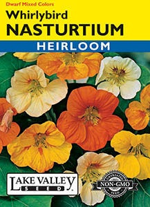 Lake Valley Nasturtium Whirlybird Mixed Colors Seed