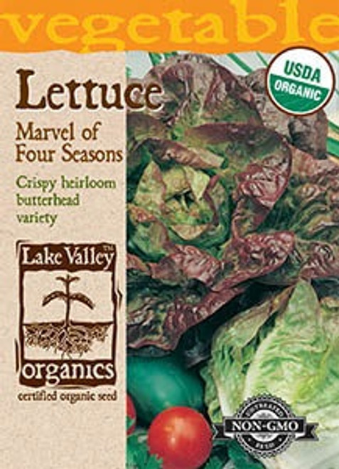 Lake Valley Lettuce Marvel of Four Seasons Organic Seed