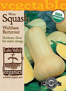 Lake Valley Squash (Winter) Waltham Butternut Organic Seed