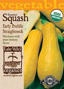Lake Valley Squash (Summer) Early Prolific Straightneck Organic Seed