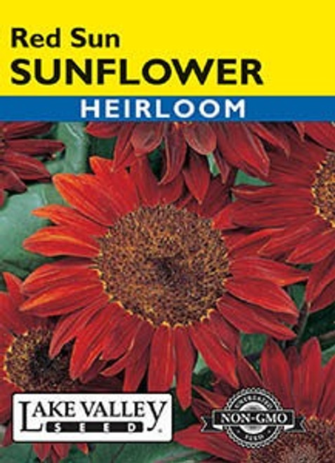 Lake Valley Sunflower Red Sun Seed