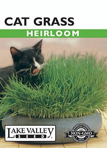 Lake Valley Cat Grass Seed