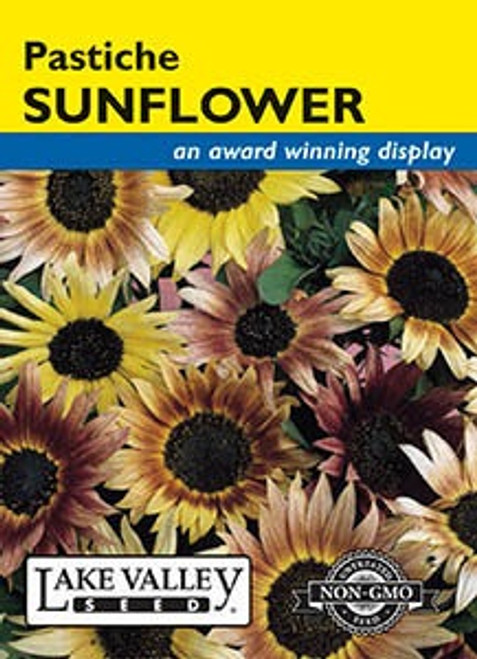 Lake Valley Sunflower Pastiche Seed