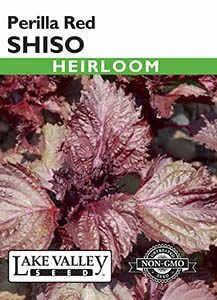 Lake Valley Shiso Perilla Red Seed
