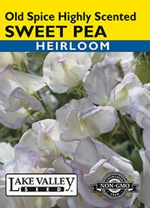Lake Valley Sweet Pea Old Spice Highly Scented Seed