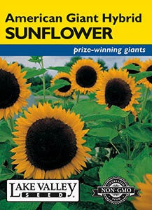 Lake Valley Sunflower American Giant Hybrid Seed