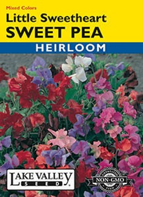 Lake Valley Sweet Pea Little Sweetheart Dwarf Seed