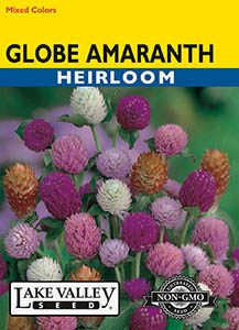 Lake Valley Globe Amaranth Mixed Colors Seed