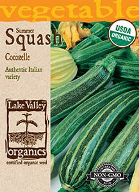 Lake Valley Squash (Summer) Cocozelle Organic Seed