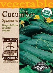 Lake Valley Cucumber Spacemaster Organic Seed