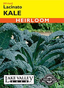 Lake Valley Kale Lacinato Seed