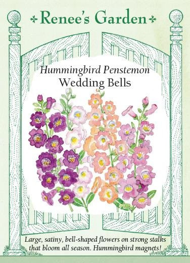 Renee's Garden 'Wedding Bells' Hummingbird Penstemon Seed