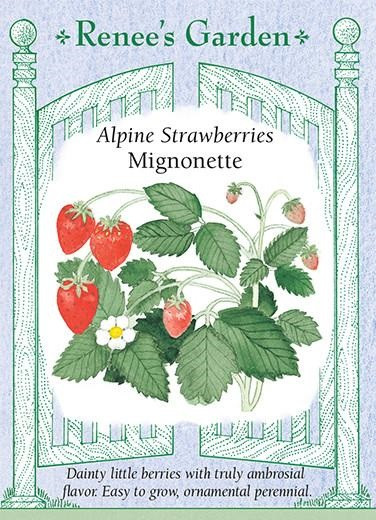 Renee's Garden 'Mignonette' Alpine Strawberries Seed