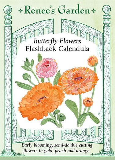 Renee's Garden 'Flashback Calendula Butterfly Flowers Seed
