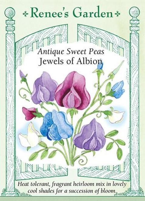 Renee's Garden 'Jewels of Albion' Antique Sweet Pea Seed