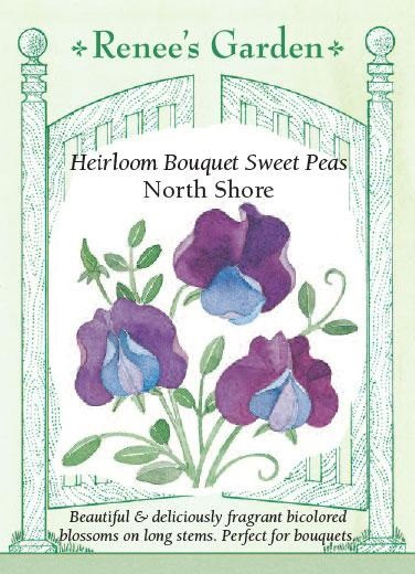 Renee's Garden 'North Shore' Heirloom Bouquet Sweet Pea Seed