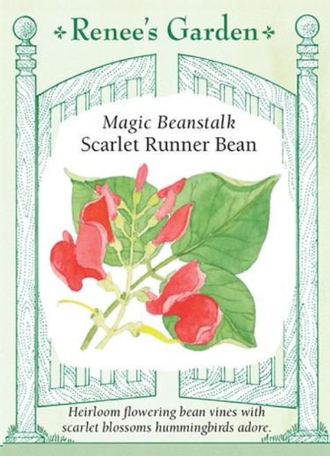 Renee's Garden 'Magic Beanstalk' Scarlet Runner Bean Seed