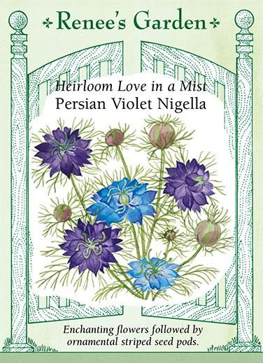 Renee's Garden 'Persian Violet Nigella' Love in a Mist Seed