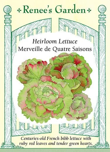 Renee's Garden 'Mereveille De Quatre Saisons' Heirloom Lettuce Seed