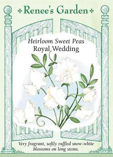 Renee's Garden 'Royal Wedding' Heirloom Sweet Pea Seed
