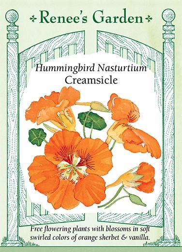 Renee's Garden 'Creamsicle' Hummingbird Nasturtiums Seed