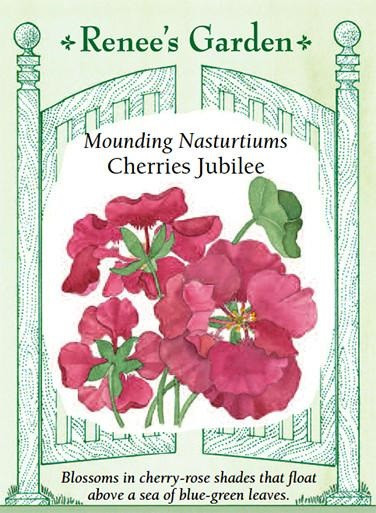 Renee's Garden 'Cherries Jubilee' Mounding Nasturtium Seed