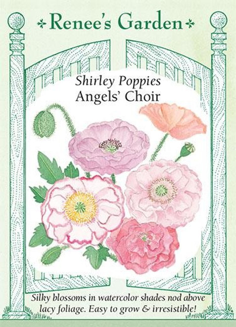 Renee's Garden 'Angels Choir' Shirley Poppies Seed