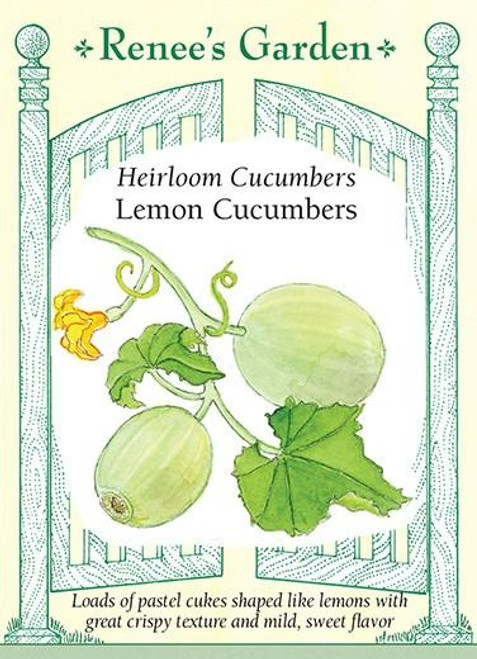 Renee's Garden ' Lemon Cucumbers' Heirloom Cucumber Seed