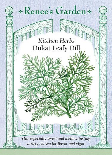 Renee's Garden 'Dukat Leafy Dill' Kitchen Herb Seed