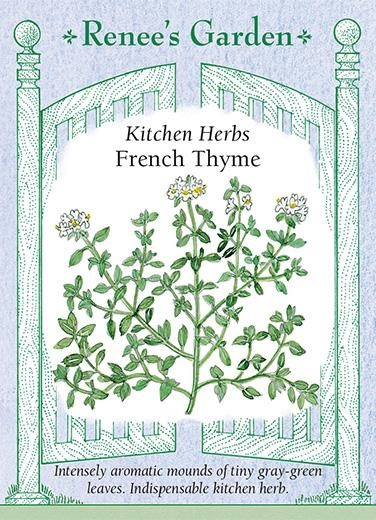 Renee's Garden 'French Thyme' Kitchen Herb Seed
