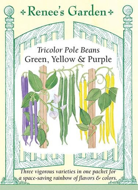 Renee's Garden 'Green, Yellow & Purple' Tricolor Pole Beans Seed