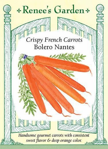 Renee's Garden 'Bolero Nantes' Crispy French Carrot Seed