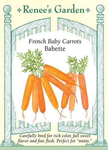 Renee's Garden 'Babette' French Baby Carrots Seed