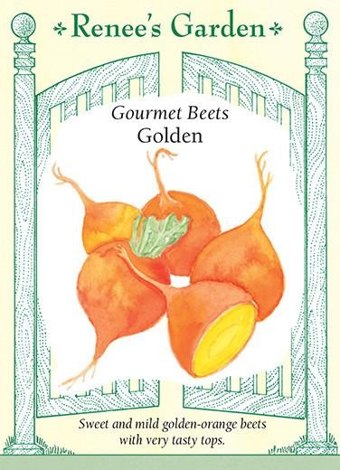 Renee's Garden 'Golden' Gourmet Beets Seed