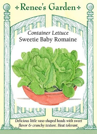 Renee's Garden 'Sweetie Baby Romaine' Container Lettuce Seed
